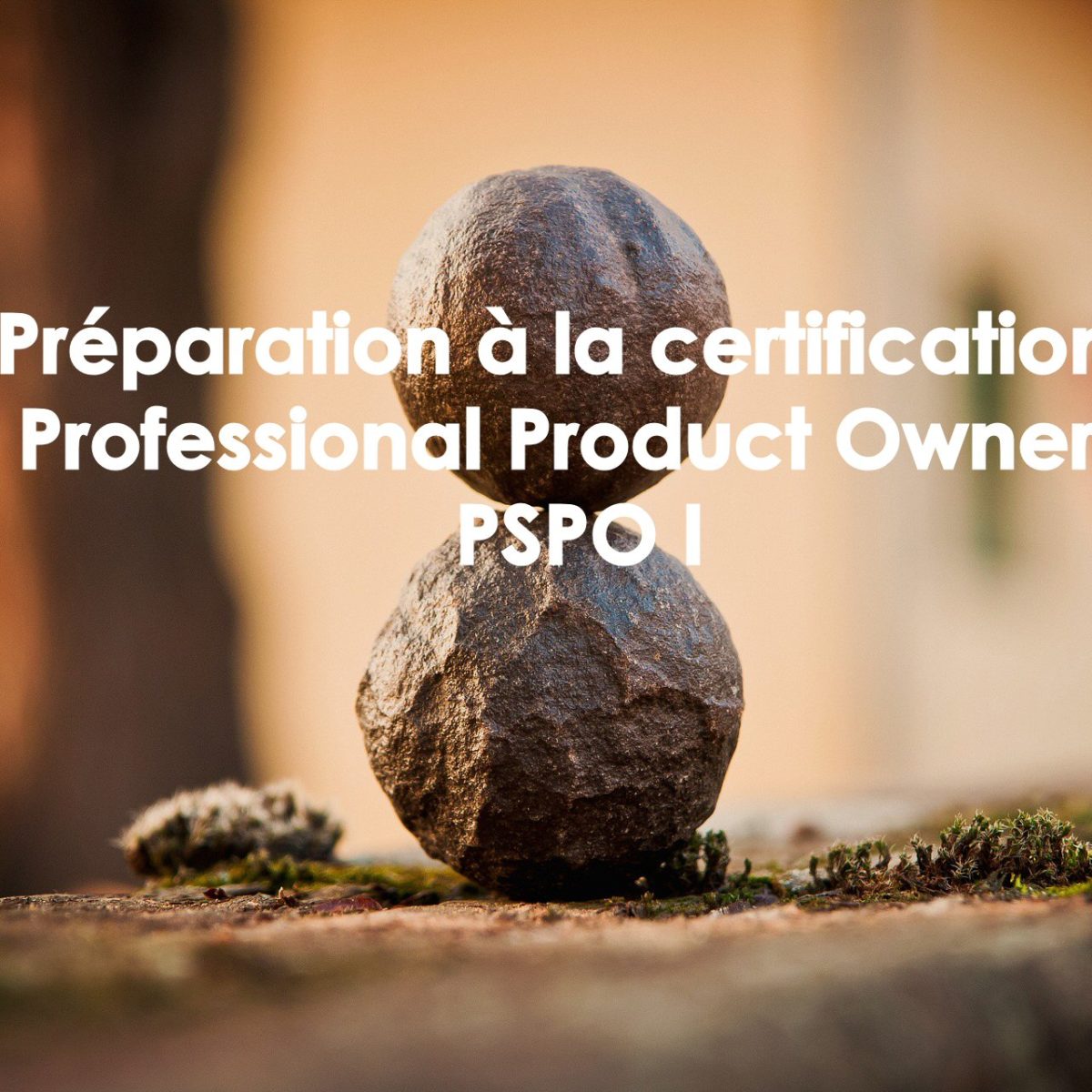 Pspo Formation Product Owner Avanc Et Pr Paration La